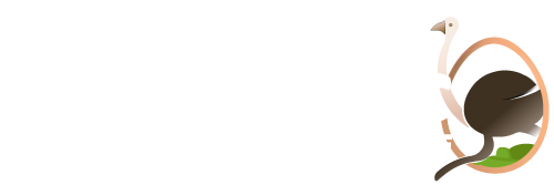 Les autruches de la tortue